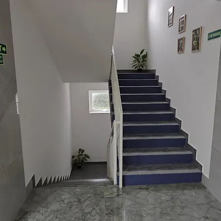 7Elysee Homestay - Best 3Bhk Premium Homestay 